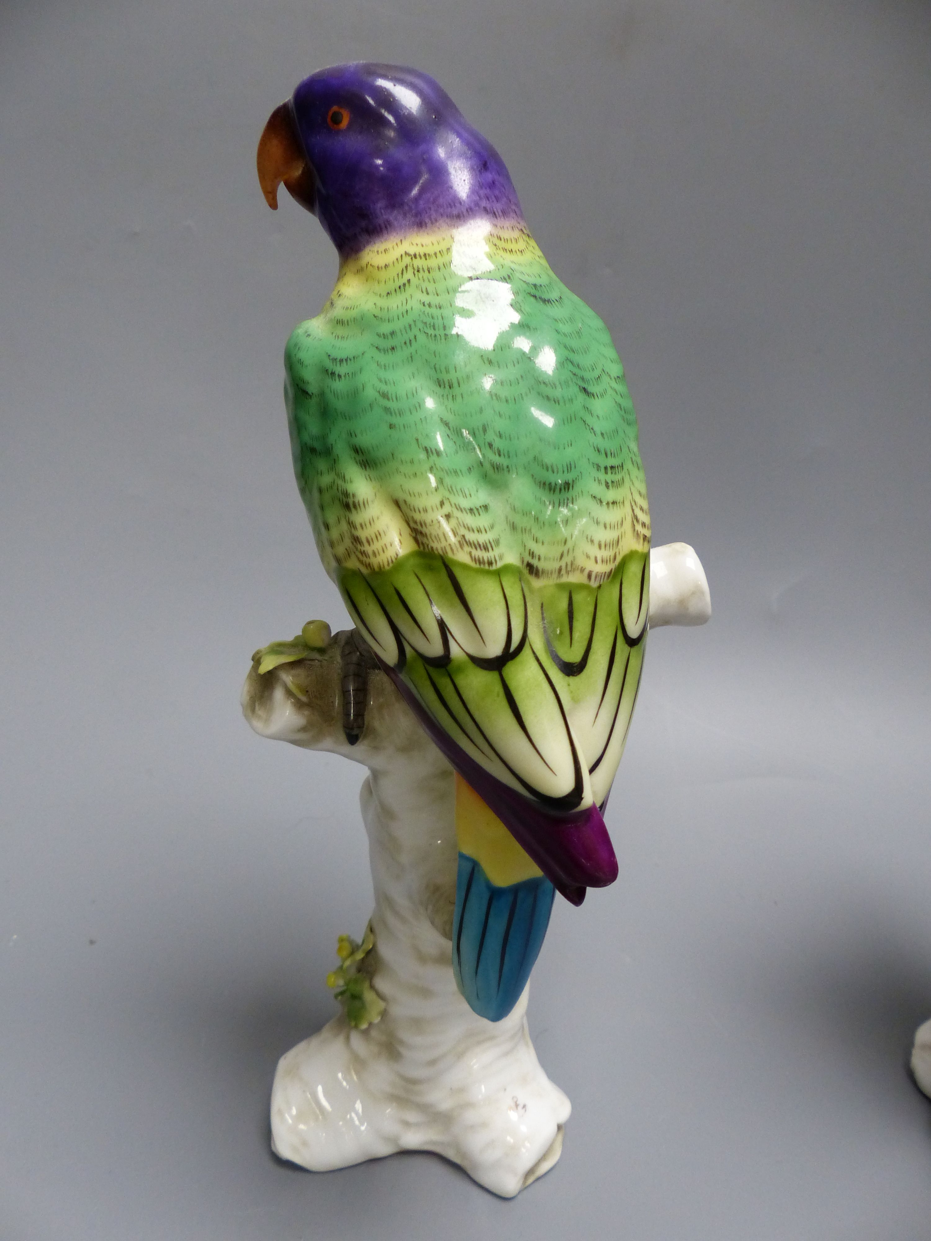 Two Continental porcelain models of parakeets, height 23.5cm